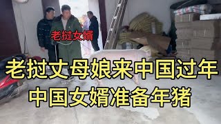 老挝丈母娘第一次来中国过春节，中国女婿准备年猪，猪怎么这么大