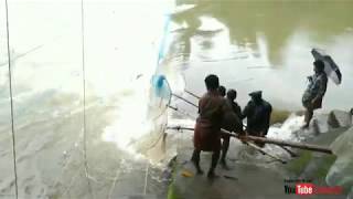 ഊത്തപിടുത്തം, 🦈🐬ചാട്ട വലയിൽ ഊത്ത മീൻ ചാകര 🦈😱😱😱🐬🐬🐬🦈🦈🦈