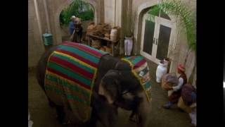 Seinfeld India Riff 3 Elephant