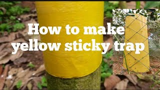 How to make yellow sticky trap /Nanha Farmer/Short vedio