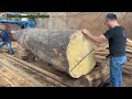 The process of operating a giant wood cutting machine at the factory