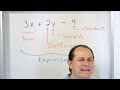 identify terms coefficients variables in algebraic expressions equations 6 5 13