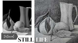 Still Life Study with pencil shading | Shading Technique with Single pencil