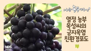 [나는농부다 212회 1부] 열정 농부 옥성 씨의 금지옥엽 친환경 포도