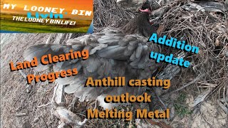 The Looney Bin Life - Additions, Land and Metal Castings