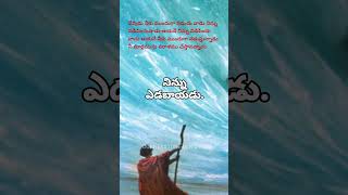 నిన్ను నడిపించువాడు ఆయనే నిన్ను విడిపించు వాడు ఆయనే#bible#youtubeshort#