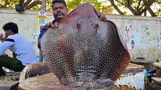 KASIMEDU 🔥 SPEED SELVAM | 41 KG GIANT DOT STINGRAY FISH CUTTING VIDEO | IN KASIMEDU | FF CUTTING 🔪