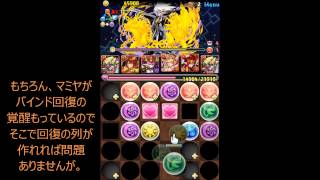 パズドラ　極限デビルラッシュ！絶地獄級　クリシュナＰＴ