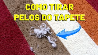 😵 COMO TIRAR (MUITOS) PELOS DE ANIMAIS DO SOFÁ, DO TAPETE ... - Gatil Hauser