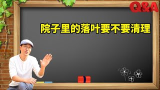 花友疑问60：庭院中的落叶到底要不要清理干净？