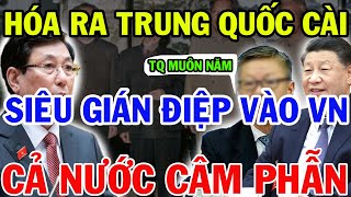 Hóa Ra Trung Quôc Đã Cài Cắm Siêu Gián Điệp Vào Việt Nam, Khiến Cả Nước Câm Phẫn