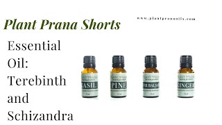 Essential Oil:Terebinth and Schizandra