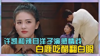 許凱和辣目洋子搭檔演感情戲太甜，白鹿吃醋從頭到尾都是黑臉|《演技派》