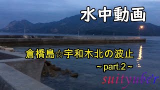 釣り人目線の水中動画　倉橋島宇和木北の波止