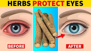 Herbs That Protect The Eye And Vision