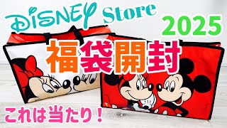 これは大当たり⁈ディズニーストアの2025年ラッキーバッグ（福袋）開封！3500円を2個比較！！