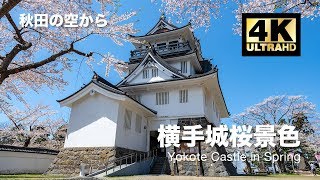 [ドローン空撮] 横手城桜景色 〜春爛漫の城跡公園〜 DJI Mavic2 Pro [秋田の空から 4K 高画質]