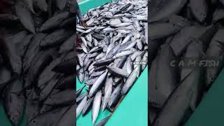 C A M fish Merchant Randathani