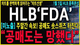 [HLB 에이치엘비] \