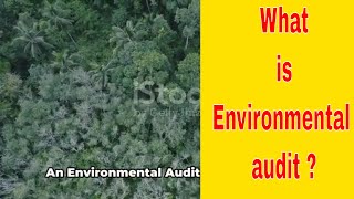 Whats is Environmental audit