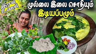 சத்து நிறைந்த முல்லை இலை சொதியும் இடியப்பமும் | Our Village life ♥️ | vanni vlog