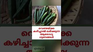 വെണ്ടയ്ക്ക കഴിച്ചാൽ #ladyfinger #okra #healthtips #malayalam #shorts