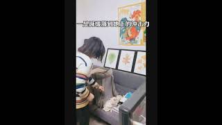 办公室试玩现实中的金色飞贼【科普达人Show】#生物鉴定 #科普 #动物 #植物 #大自然 #科普#旅行