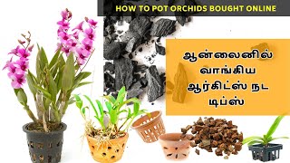 ஆன்லைனில் வாங்கிய ஆர்கிட்ஸ் நடவு - How to pot orchids bought online - Orchids potting in Tamil