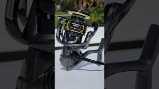 Best Spinning Reel Under $100?