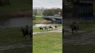 International horse distance race#International#horse#distance#race#horse#horses#riding