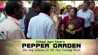 bijus pepper garden