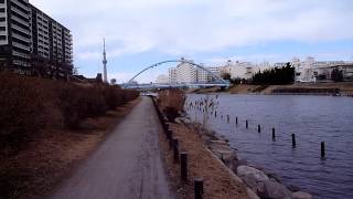 旧中川の遊歩道