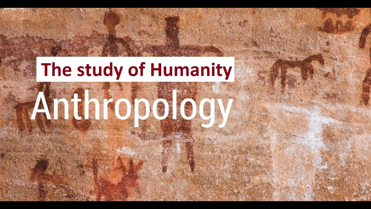 Anthropology | Branches Of Anthropology - YouTube