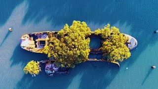 102-Year-Old Ship in Sydney Became a Floating Forest.