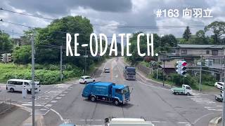 RE-ODATE CH. #163 向羽立