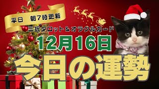 【１２月１６日】今日の運勢【３択タロット】すべてミュートで見ても大丈夫です🎄これから２４時間以内に起きること🎁