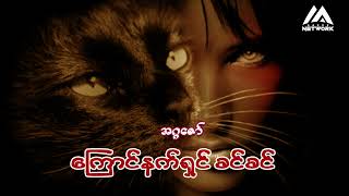 ကြောင်နက်ရှင် ခင်ခင် ( အပိုင်း _ ၁၃)