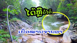 ປາດືງເບັດຈົນຄັນກົ່ງ ຈະໄດ້ ຫຼື ບໍ່ໄດ້ ຕິດຕາມນຳກັນເດີເຈົ້າ ຈາກ ສປປລາວ ปลากินเบ็ดจนคันโก่ง จาก สปปลาว