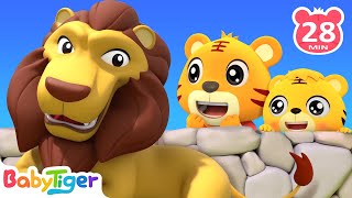 Zoo Song + More Kids Songs🎶 | Nursery Rhymes | Animals Songs | Educational Songs - Baby Tiger