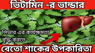 বেতো শাকের উপকারিতা। বথুয়া শাক খেলে কি হয় |বেথুয়া শাকের ঔষধি গুন গুলি কি কি? Bato Saker Upokarita .