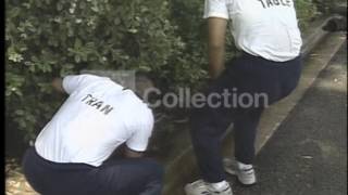 SIMPSON - EVIDENCE