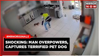 Shocking Video | Masked Man Steals Terrified Dachshund From Home | Dog Theft | Twiglet | Latest News