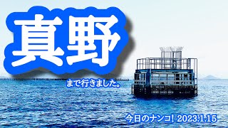 【今日のナンコ！2023.1.15】真野【琵琶湖バス釣り】