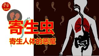 寄生人体的恶魔—医学寄生虫学 体内游走的绦虫——曼氏裂头绦虫（Spirometramanson