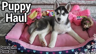 Everything I Bought For My New Husky Puppy Haul