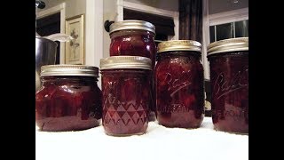 CANNING 101: CRANBERRY FRUIT SAUCE - JANIE'S BEST!