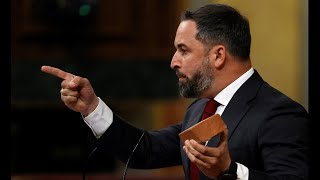 Abascal saca un adoquín en el Congreso y acusa a Marlaska de la violencia contra Vox