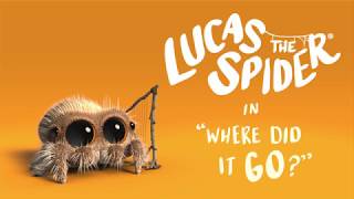 Lucas the Spider - Where Did It Go? - Short