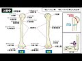 【はじめての解剖生理学】上腕骨の部位名称