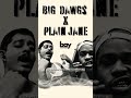 Big Dawgs X Plain Jane – Hanumankind ft A$AP Ferg @baymadethisbeat. #mashup